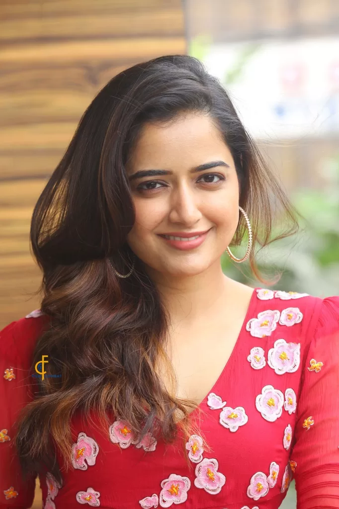 photo output 2 Akkineni Nagarjuna, Amigos, Ashika Ranganath, Ashika Ranganath Images, Ashika Ranganath pictures, Naa Saami Ranga