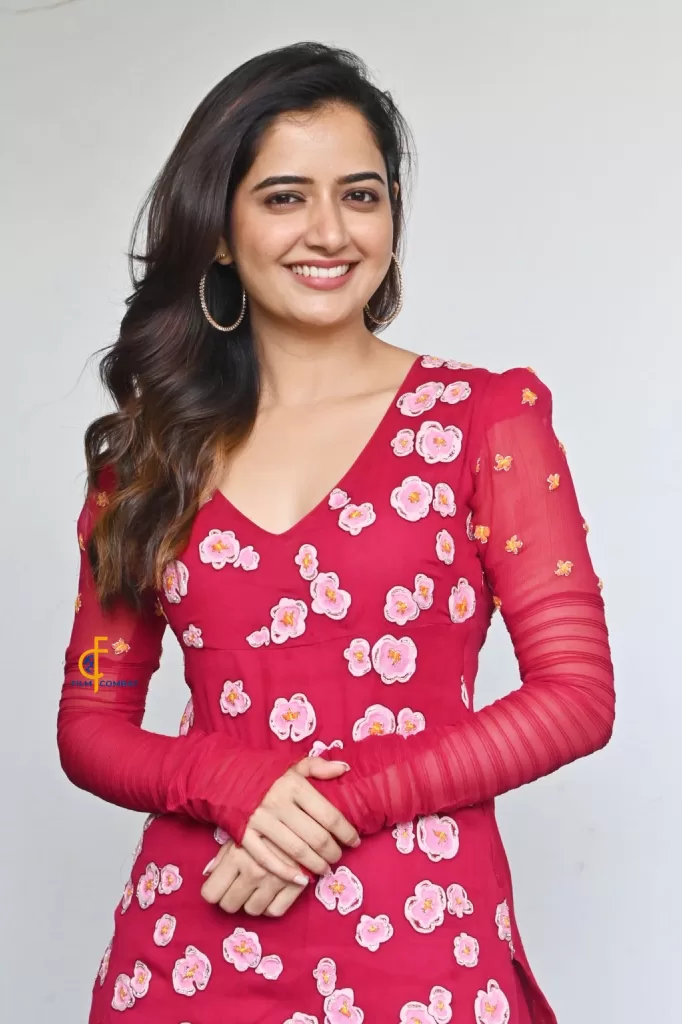 photo output 8 Akkineni Nagarjuna, Amigos, Ashika Ranganath, Ashika Ranganath Images, Ashika Ranganath pictures, Naa Saami Ranga