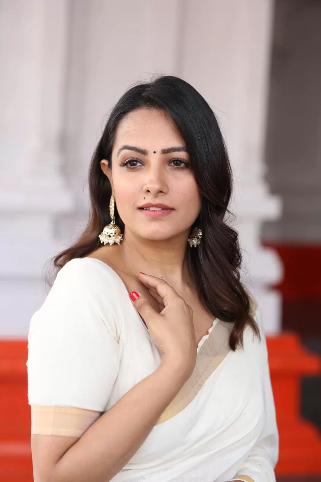 Nuvvu Nenu Movie fame Heroine Anita Hassanandani Reddy dazzling Stills